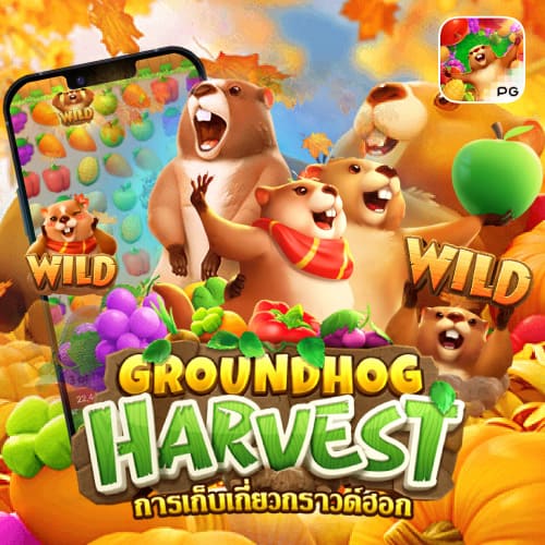 Groundhog Harvest betflikinc